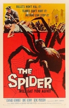 (The Spider- will eat you Alive) When Carol gets out of the car to look for her missing father, you can see the reflection of the film crew and movie camera in the vehicles shiny black paint. Bert I. Gordon is the father of actress Susan Gordon who appeared as Agnes in Attack of the Puppet People, also directed by her father this very same year. Bert did his own special effects in his films, often in collaboration with his wife Flora M. Gordon, who worked with him on films like The Amazing Colossal Man, Attack of the Puppet People, Village of the Giants, War of the Colossal Beast and Beginning of the End. Artikelbild