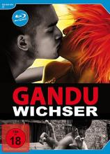 (Gandu - Wichser L.E.) Gandu geht sein Leben gehörig auf den Sack: er lebt noch bei seiner Mutter, die ihn echt annervt, die Wohnung gehört ihrem Macker, der jeden Tag nur zum Vögeln vorbeischaut und das bisschen Kohle, das er hat, muss er ihrem Typen dann genauso regelmäßig aus der Hose klauen. Ansonsten vertreibt er sich die Zeit mit Pornos oder hängt auf der Straße rum. Nur für die wilden Raps, die er textet, kann er sich begeistern. All das ändert sich, als er Riksha trifft, der ein ausgesprochenes Faible für Bruce Lee hat – und einen ordentlichen Vorrat an Drogen. Während sie sich gemeinsam zudröhnen, geben sich Exzess und Absturz die Klinke in die Hand und alles verschwimmt: hatte er letzte Nacht wirklich zum ersten Mal Sex? Ist die Asian Dub Foundation tatsächlich in der Stadt, nur um mit ihm aufzutreten? Man kann nur erahnen, wie lange und heftig es in Regisseur Q gebrodelt haben muss: GANDU ist eine einzige Kampfansage an Bollywood und seine Kitschopern. Einziger gemeinsamer Nenner ist eine Geschichte, die hin und wieder von Songs unterbrochen wird. Der Rest von GANDU ist filmgewordener Tabubruch. Ob sprachlich, formal, inhaltlich oder auf der Bildebene: expliziter Sex, Masturbation, Drogen, wütende Songs… Nichts wird ausgelassen. Ein radikaler, hochenergetischer Film, der mit sämtlichen Bollywoodklischees aufräumt… Wirklich mutiges Kino aus Indien! Artikelbild