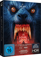 (An American Werewolf in London L.E. (4K Ultra HD/2Blu-ray)) Zwei amerikanische Studenten durchtrampen auf ihren Europatrip das englische Hochmoor. Müde und durchfroren erreichen sie einen kleinen Pub, wo man sie eindringlich vor einer Bestie warnt, die hier ihr Unwesen treiben soll. Unerschrocken setzen die beiden ihren Weg durch die regnerische Nacht fort, verirren sich im Moor - und werden prompt von einem Werewolf angefallen. Jack stirbt, David kommt schwerverletzt ins Krankenhaus. Trotz fürsorglicher Pflege quälen ihn Nacht für Nacht grauenhafte Alpträume, in denen ihm sein toter Freund erscheint und ankündigt, er selbst würde beim nächsten Vollmond zum menschenmordenden Werewolf. Die Nacht des nächsten Vollmonds steht kurz bevor - und damit sieht alles anders aus...blutiger. Artikelbild
