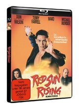 (Red Sun Rising) Thomas Hoshino, Polizeiinspektor aus Japan, soll einen Yakuza aus Amerika in sein Heimatland überführen. Doch den Gangster ereilt ein mysteriöser Tod. Zusammen mit seiner US-Partnerin Karen Ryder wird er in die Untersuchung einer Reihe von Gangmorden verwickelt und muss erkennen, dass es eine Art des Tötens gibt, die keine Abwehr zulässt, den Artikelbild