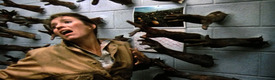 Bannerbild